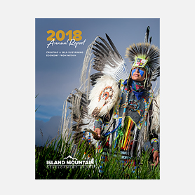 Annual report design for Island Mountain