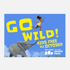 Ad design for San Diego Zoo